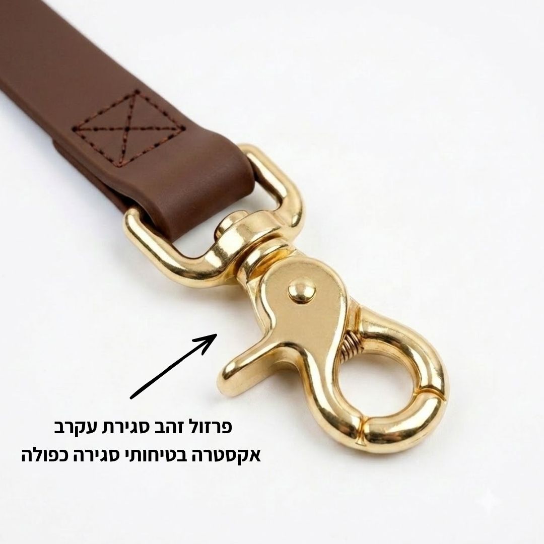 רצועת כלבים 1.2 מטר 25 מ״מ שחורה
