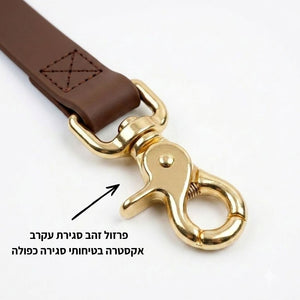רצועת כלבים באורך 1.2 מטר וברוחב 20 ממ בצבע חום – רצועה רגילה לכלב | Petrix