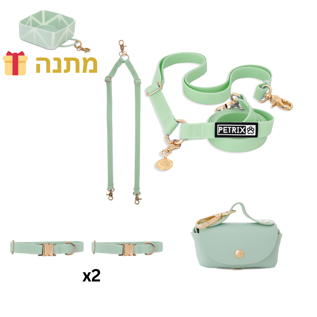 סט טיול תואם לשני כלבים ירוק - קולרים