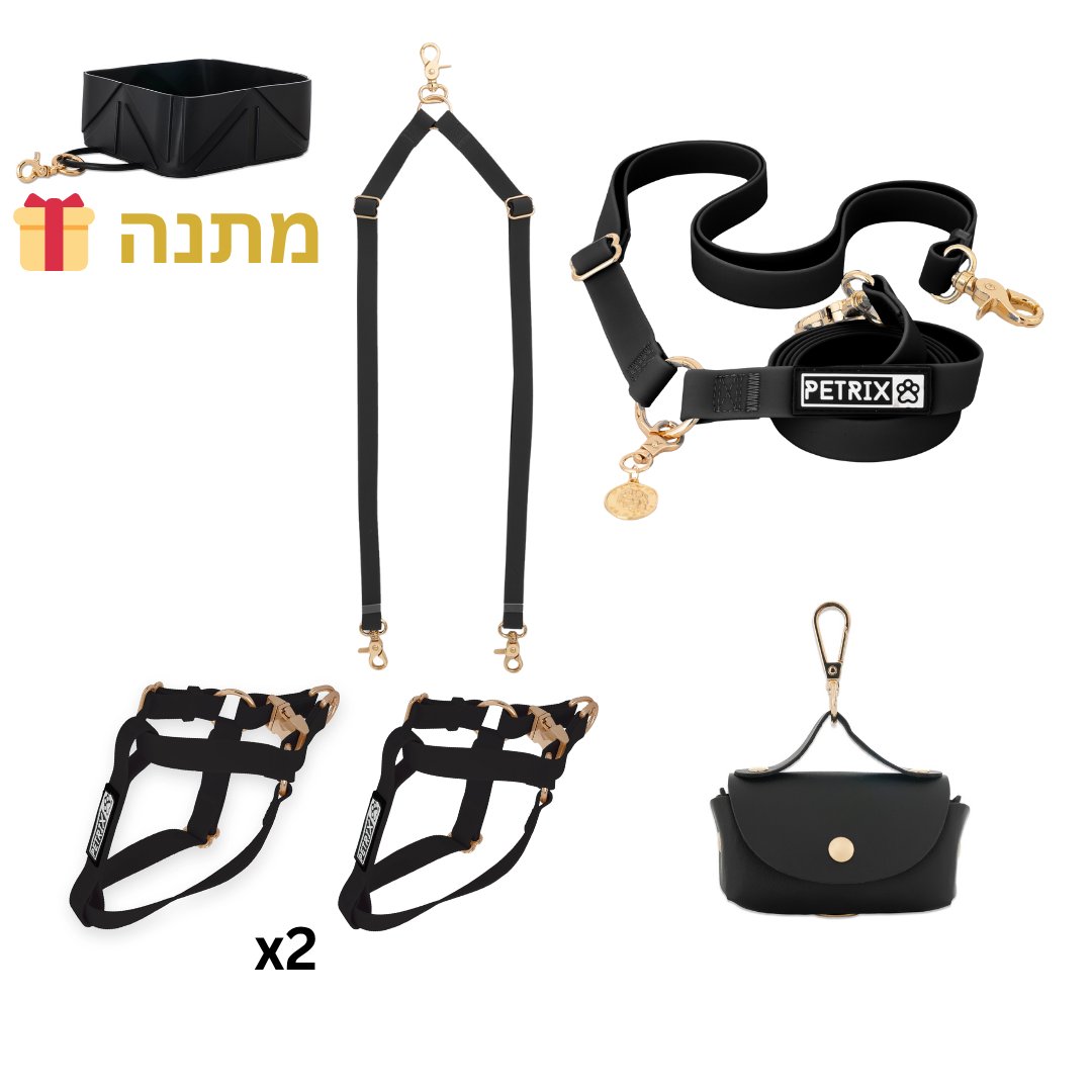סט טיול תואם לשני כלבים שחור - רתמות