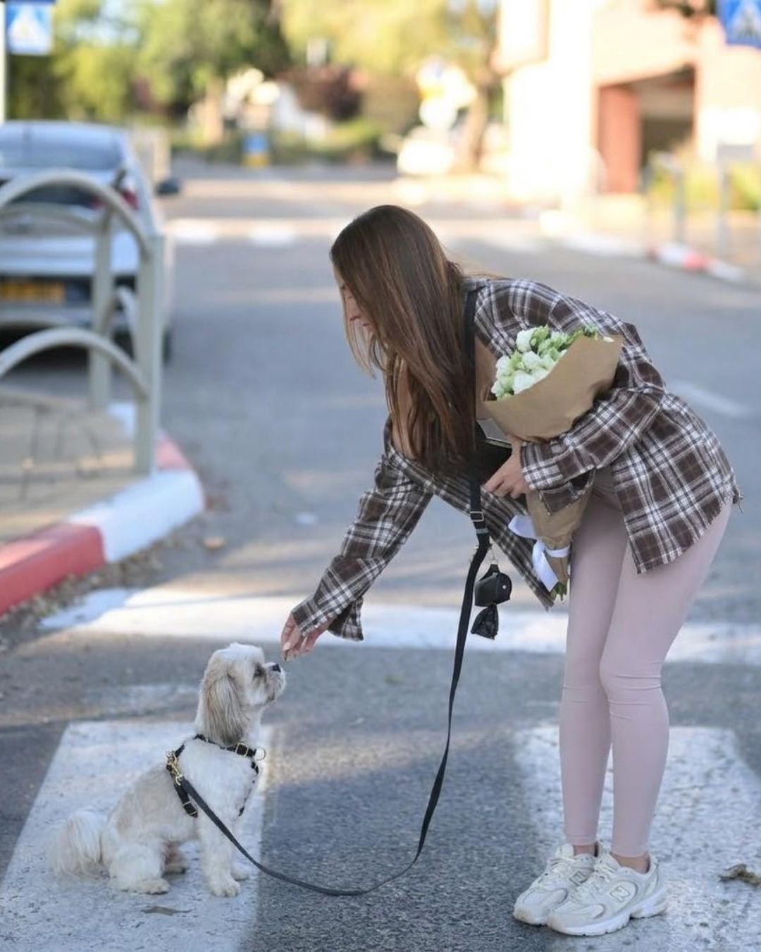 רצועת כלבים ללא ידיים 4 ב-1 בצבע שחור – רצועת סיליקון Hands Free לטיולים | Petrix