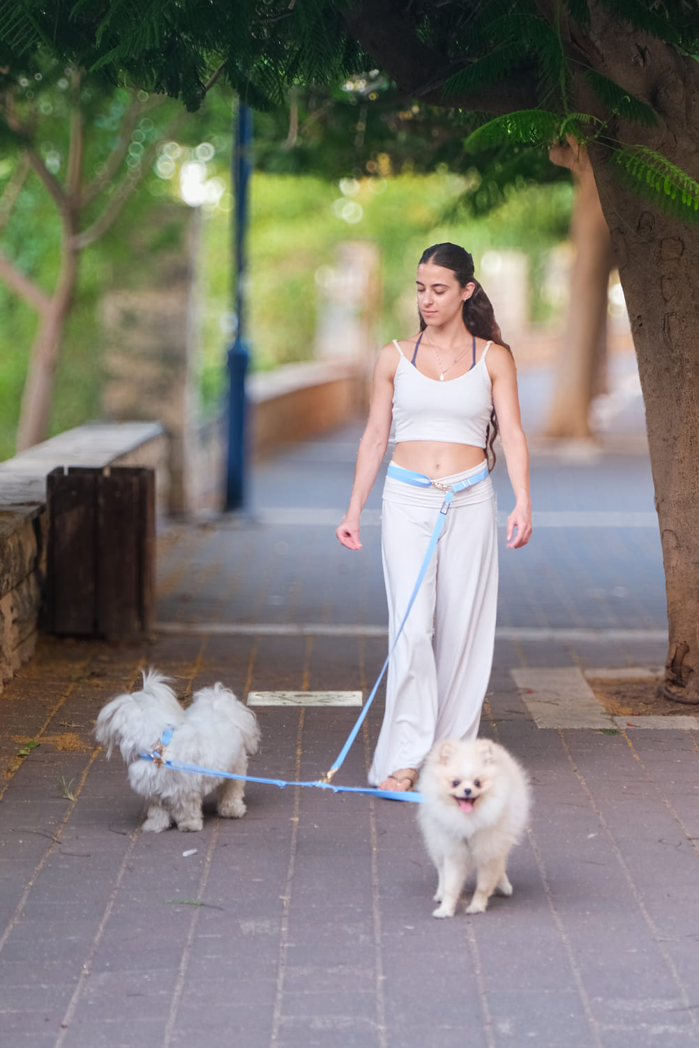 רצועה ללא ידיים + מפצל לשני כלבים | כחול