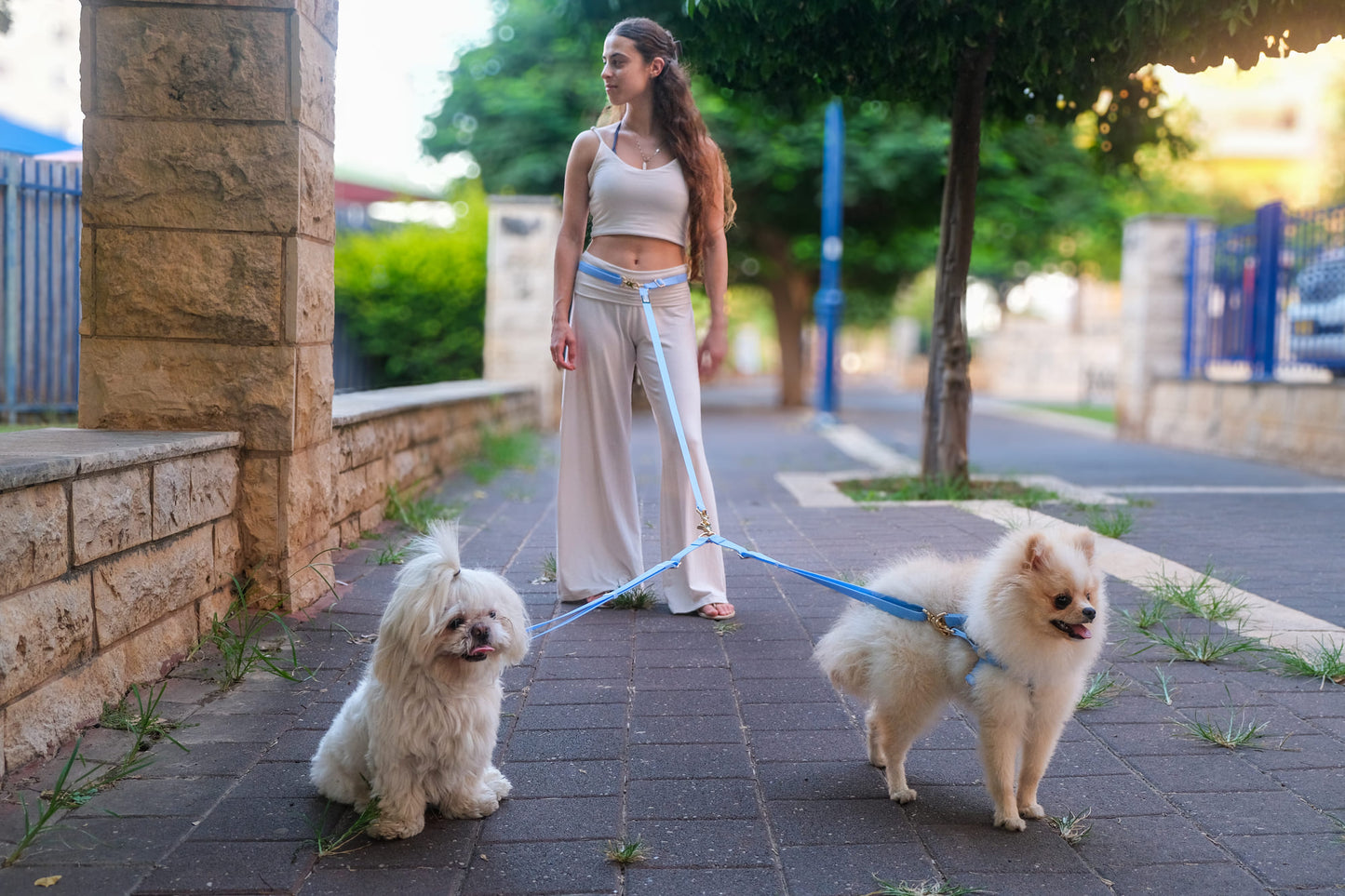 רצועה ללא ידיים + מפצל לשני כלבים | כחול