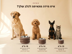 קערת Kumo בשלוש מידות, 10, 14 ו-18 ס״מ, ליד כלבים בגדלים שונים