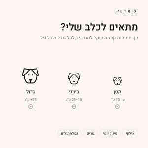חטיפי אילוף כבד בקר לכלבים – תמונה 5