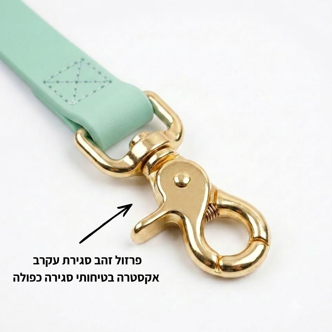 רצועת כלבים באורך 1.2 מטר וברוחב 20 ממ בצבע ירוק – רצועה רגילה לכלב | Petrix
