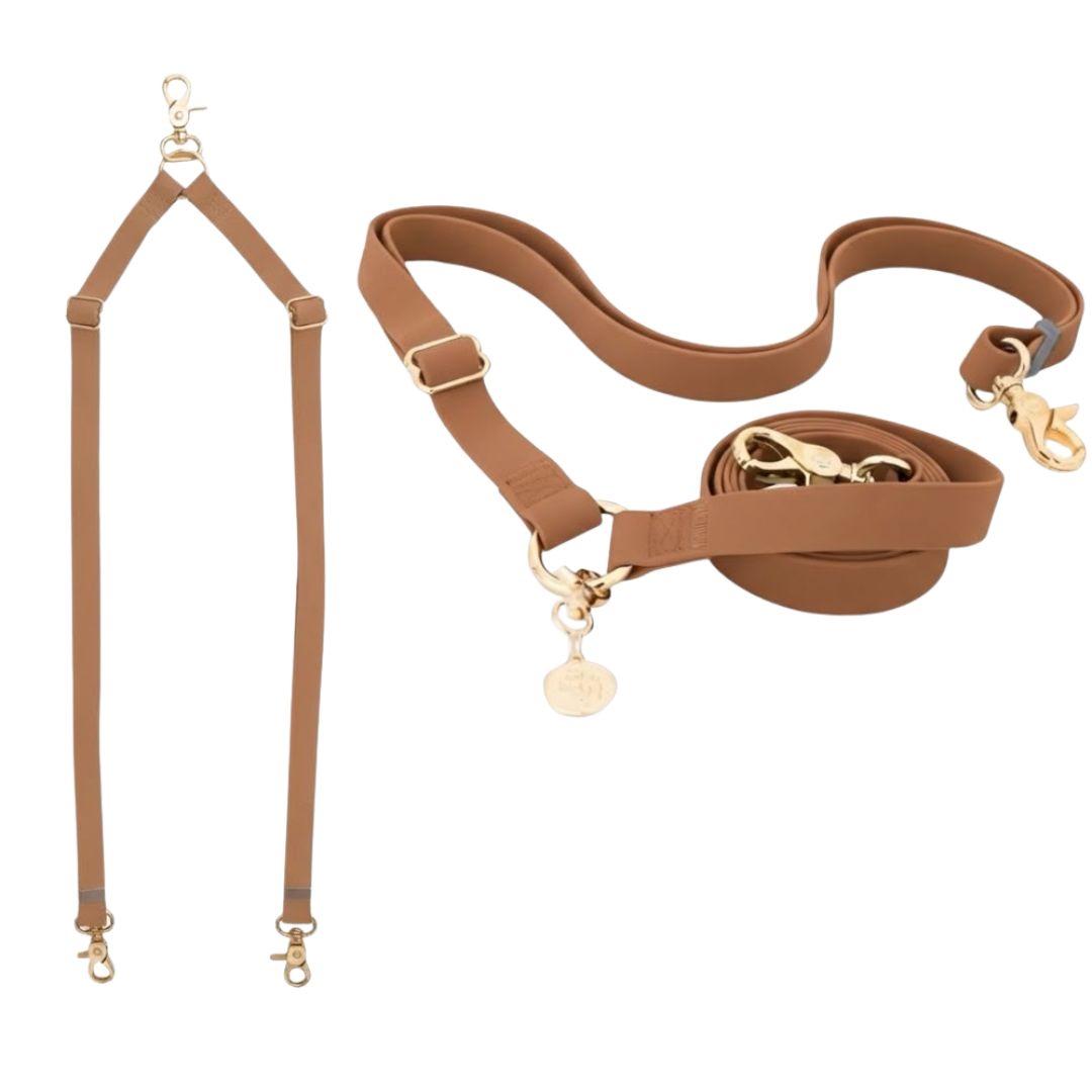 רצועה ללא ידיים + מפצל לשני כלבים | חום קלאסי