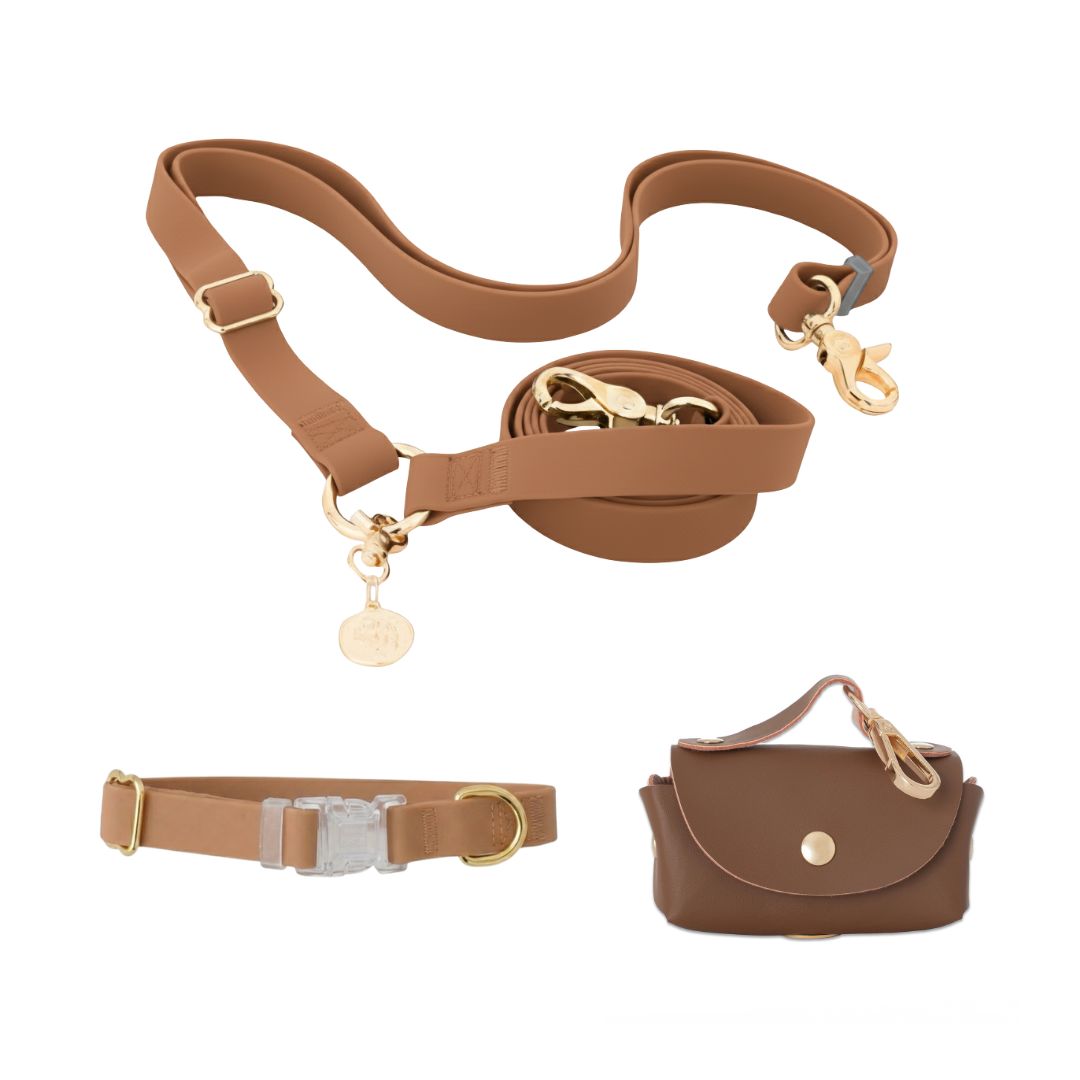 רצועה ללא ידיים + קולר הסט מלא | חום קלאסי