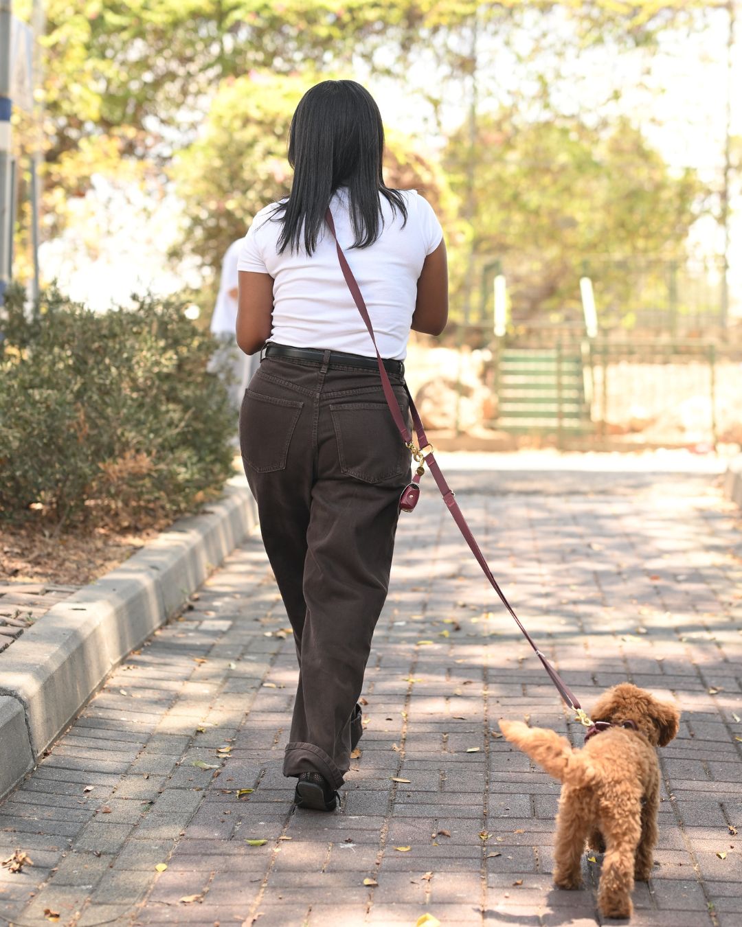 רצועת כלבים ללא ידיים 4 ב-1 בצבע בורדו עמוק – רצועת סיליקון Hands Free לטיולים | Petrix