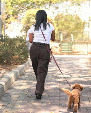 רצועת כלבים ללא ידיים 4 ב-1 בצבע בורדו עמוק – רצועת סיליקון Hands Free לטיולים | Petrix