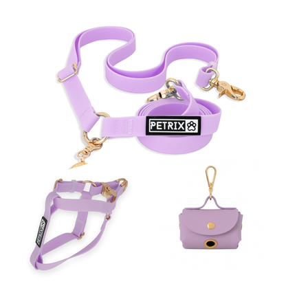 רצועת כלבים ללא ידיים + רתמה | סגול