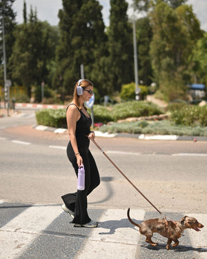 רצועת כלבים באורך 1.2 מטר וברוחב 20 ממ בצבע חום – רצועה רגילה לכלב | Petrix