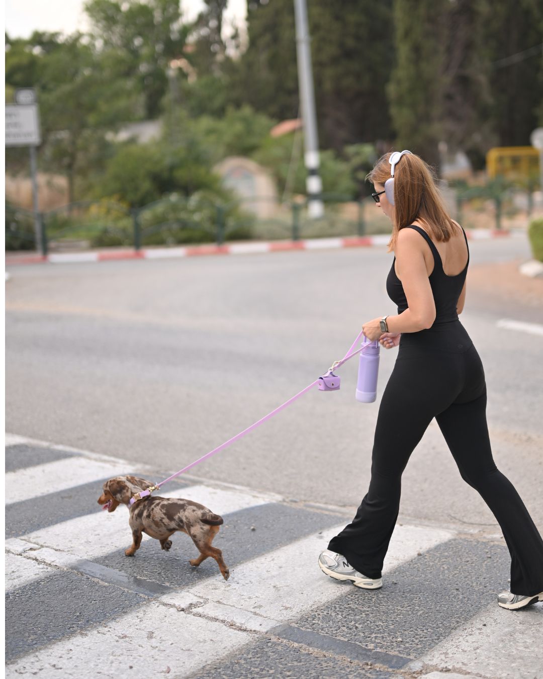 רצועת כלבים באורך 1.2 מטר וברוחב 20 ממ בצבע סגול לילך – רצועה רגילה לכלב | Petrix