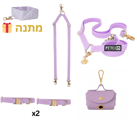 סט טיול תואם לשני כלבים סגול - קולרים