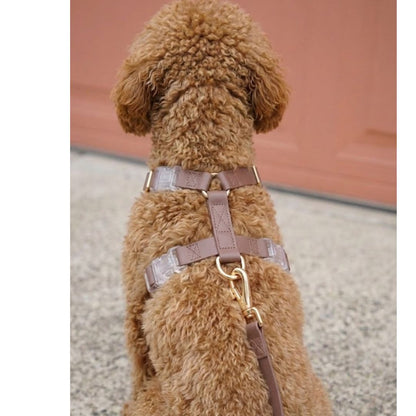 רצועת כלבים ללא ידיים + רתמה הסט המלא | חום קלאסי