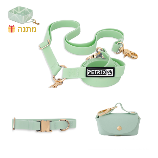 רצועה ללא ידיים + קולר הסט מלא | ירוק פיסטוק