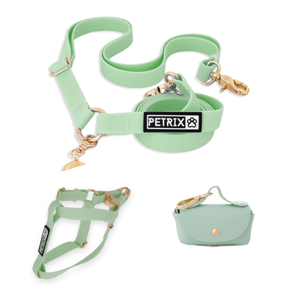 רצועת כלבים ללא ידיים + רתמה | ירוק פיסטוק