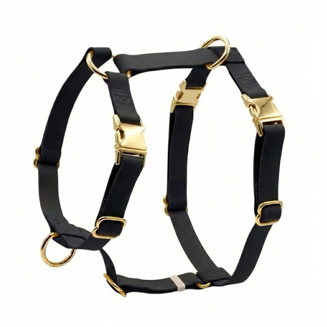 רתמה לכלבים סיליקון בלעדי בישראל | שחור