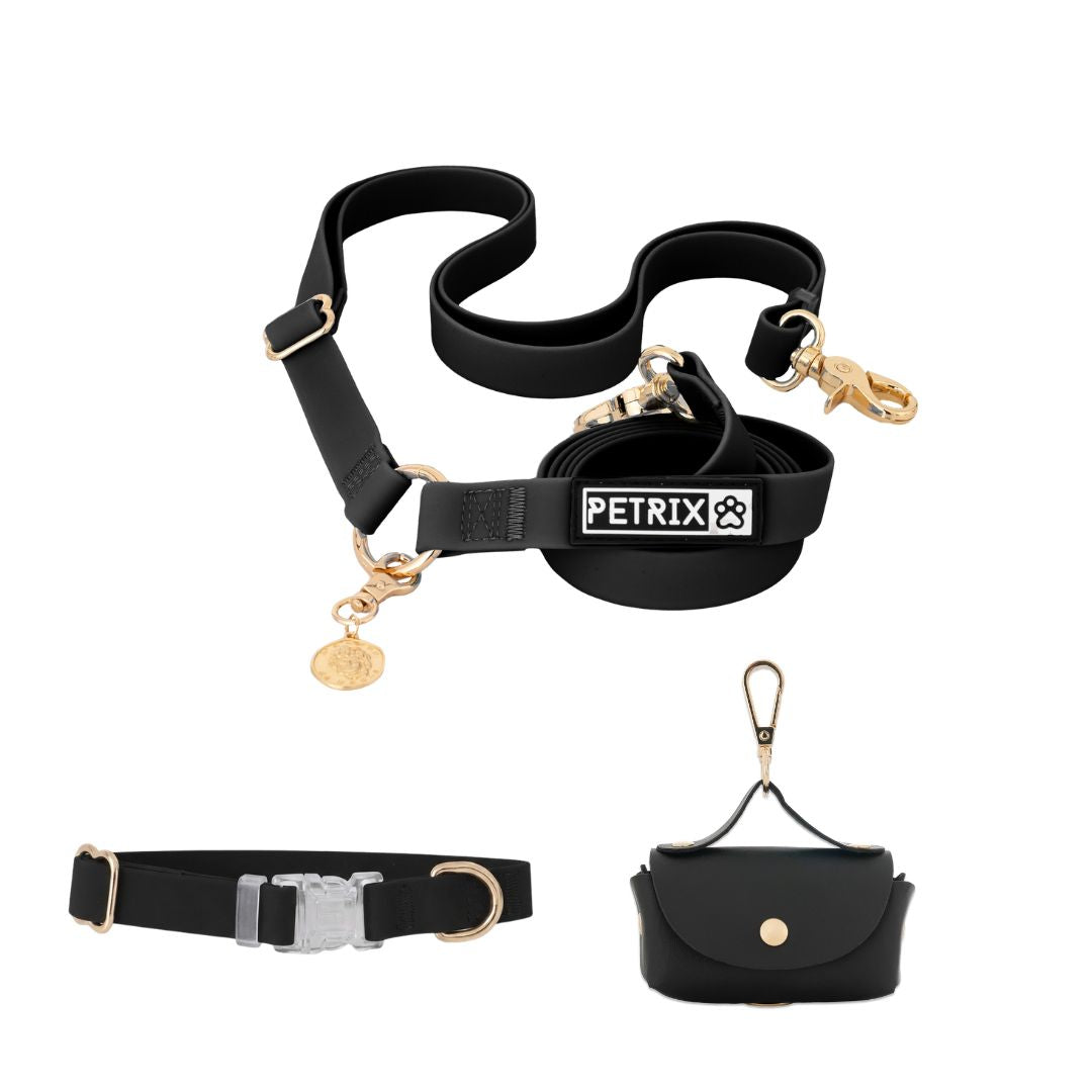 רצועת כלבים ללא  ידיים + קולר הסט מלא | שחור חלק