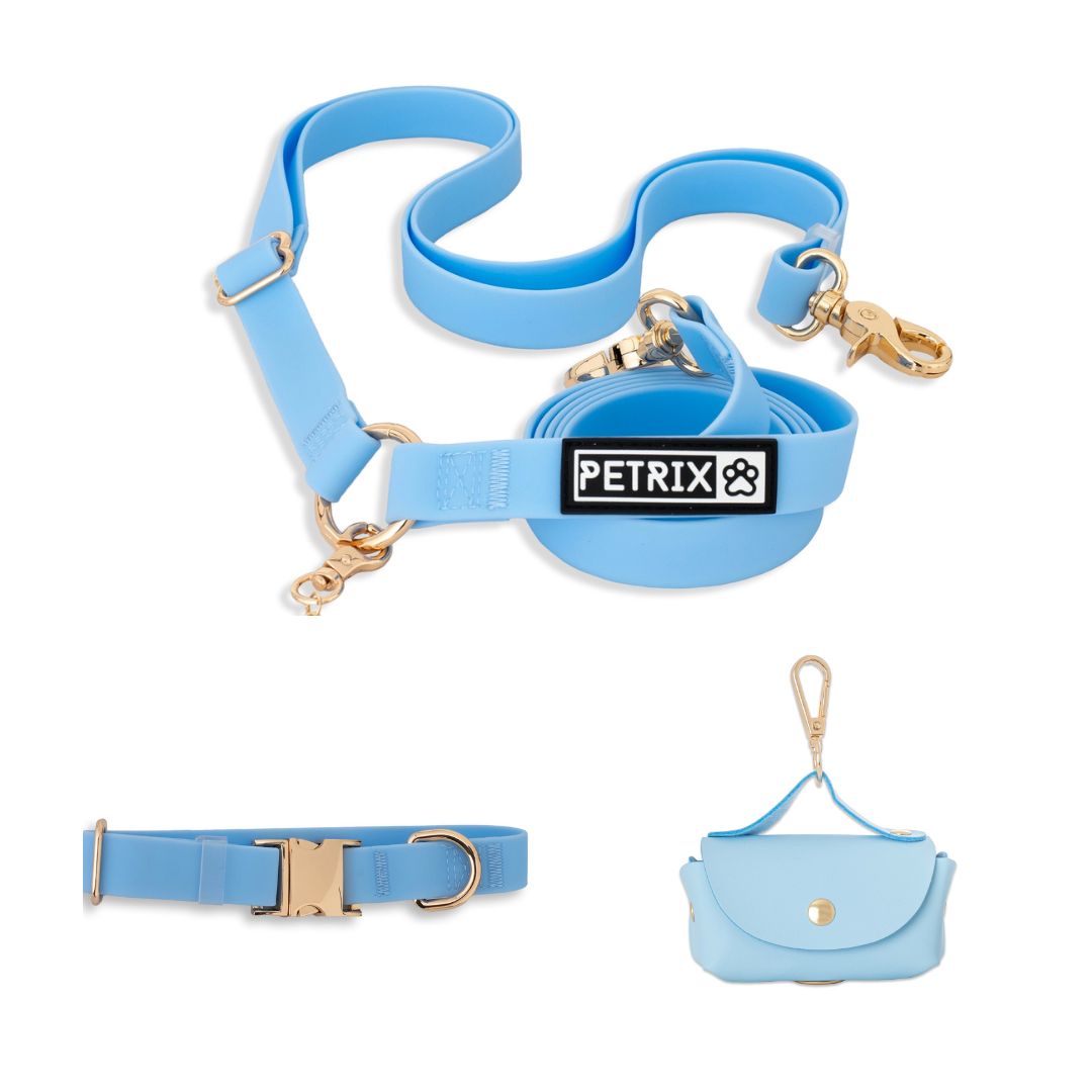 רצועת כלבים ללא ידיים + קולר הסט המלא | כחול
