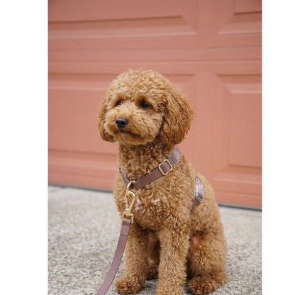 רצועת כלבים ללא ידיים + רתמה הסט המלא | חום קלאסי