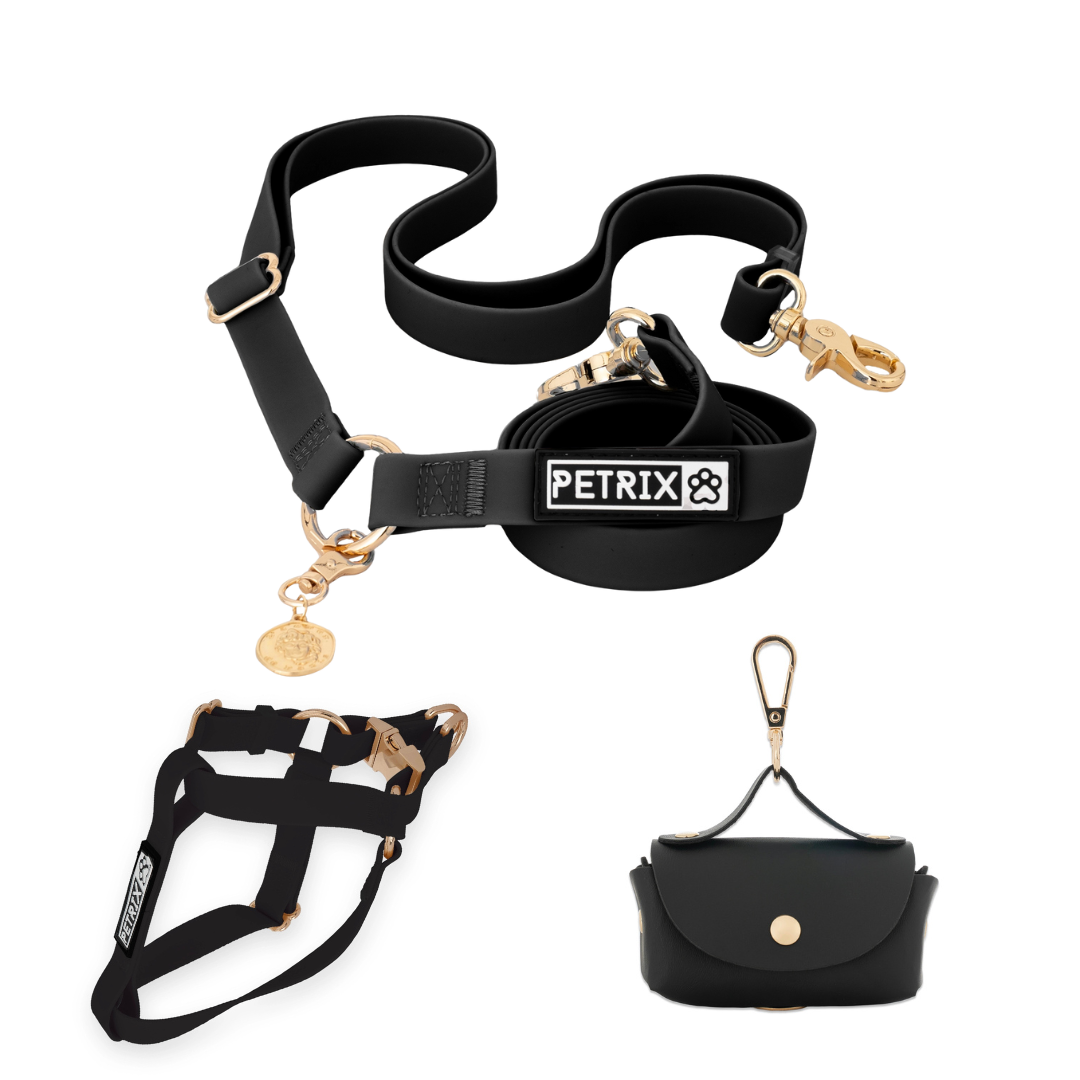 רצועת כלבים ללא ידיים + רתמה הסט מלא | שחור חלק