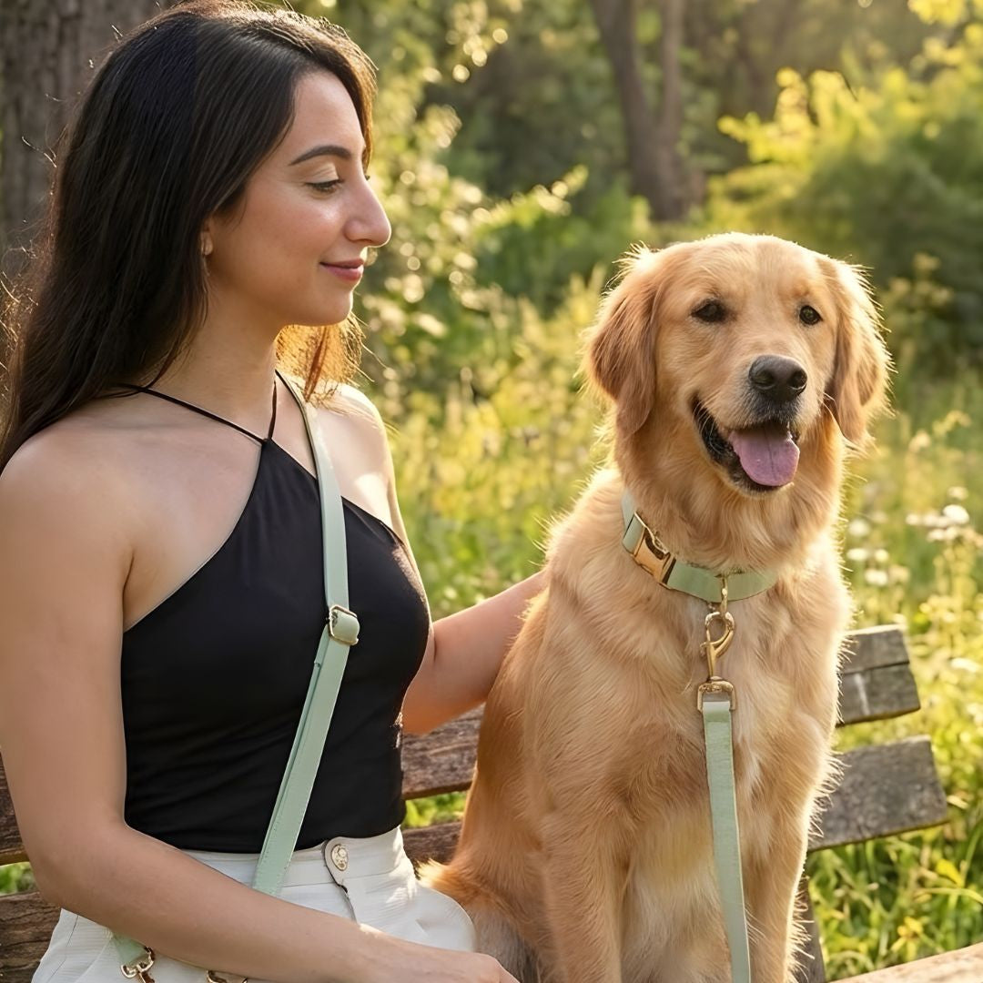 רצועת כלבים ללא ידיים + קולר הסט מלא | ירוק פיסטוק