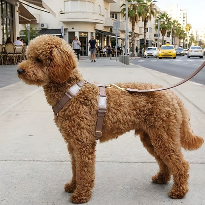 רצועת כלבים ללא ידיים + רתמה הסט המלא | חום קלאסי