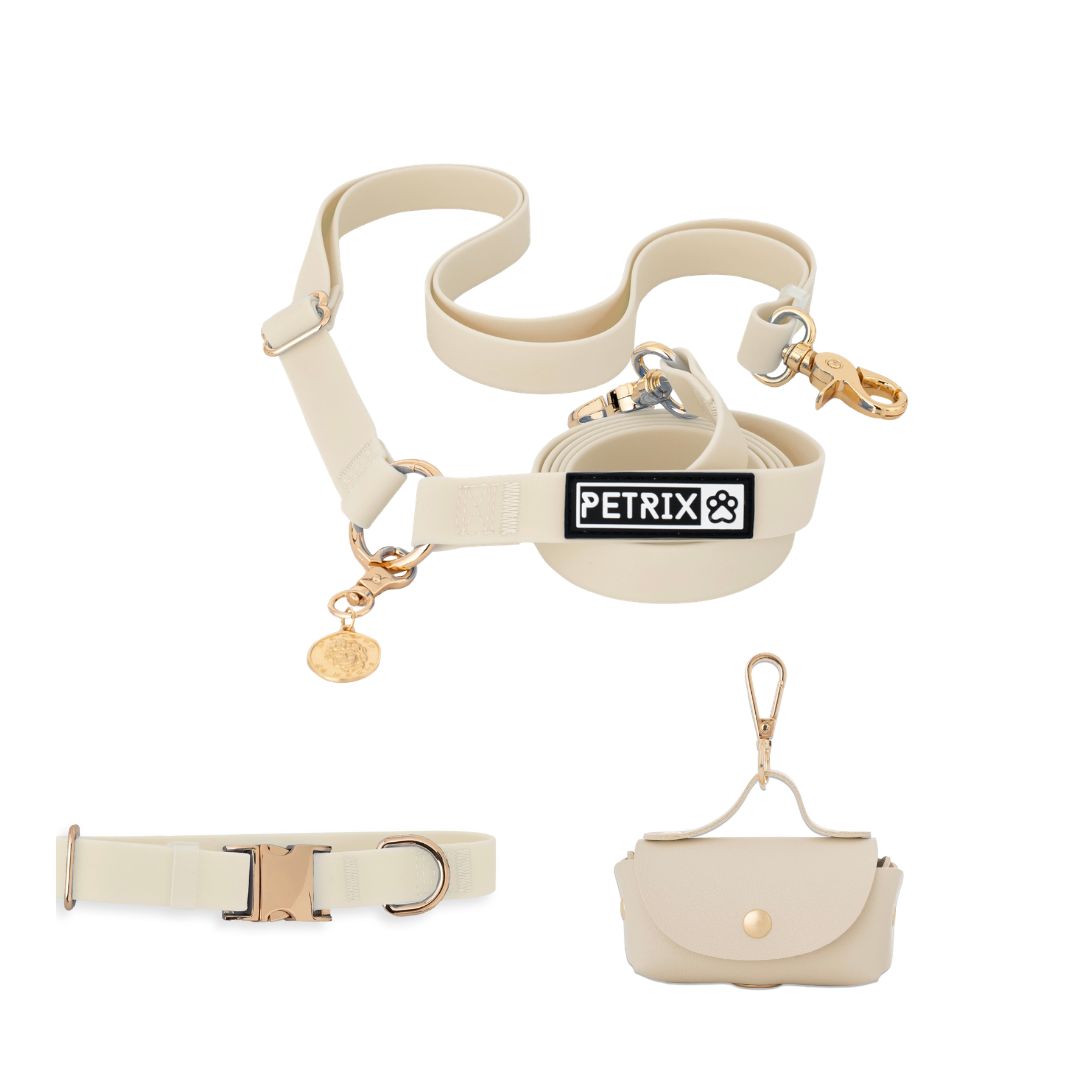 רצועה ללא ידיים + קולר הסט מלא | בצבע בז