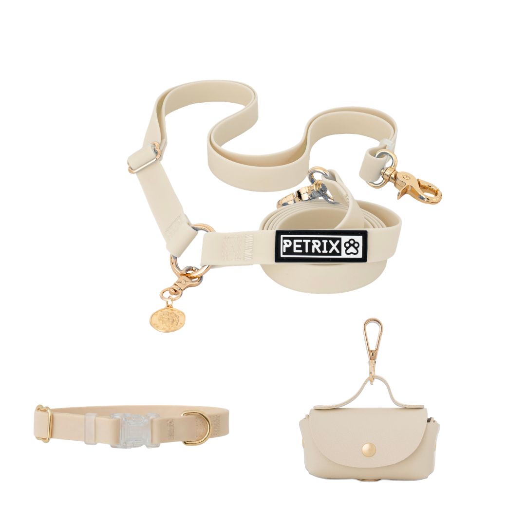 רצועה ללא ידיים + קולר הסט מלא | בצבע בז