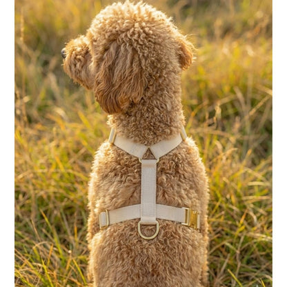 רצועה ללא ידיים + רתמה הסט המלא  | בז