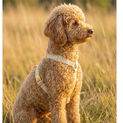 רצועה ללא ידיים + רתמה הסט המלא  | בז