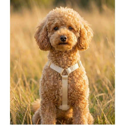 רצועה ללא ידיים + רתמה הסט המלא  | בז