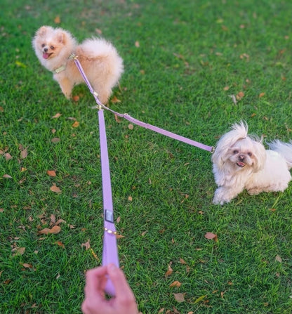 רצועה לכלבים גדולים  1.2 מטר + מפצל לשני כלבים | סגול