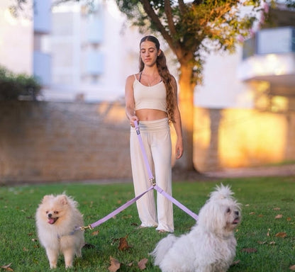 רצועה לכלבים גדולים  1.2 מטר + מפצל לשני כלבים | סגול