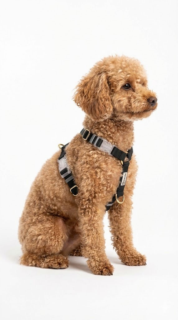 רצועת כלבים ללא ידיים + רתמה הסט מלא | שחור חלק