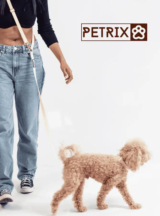 הסט החדשני של PETRIX  | רצועת כלבים ללא ידיים