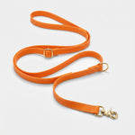 רצועה לכלב מסיליקון באורך מתכוונן 1.05–1.8 מ׳ בצבע כתום עם תפר לבן ואבזמים זהובים, על רקע בהיר – Petrix