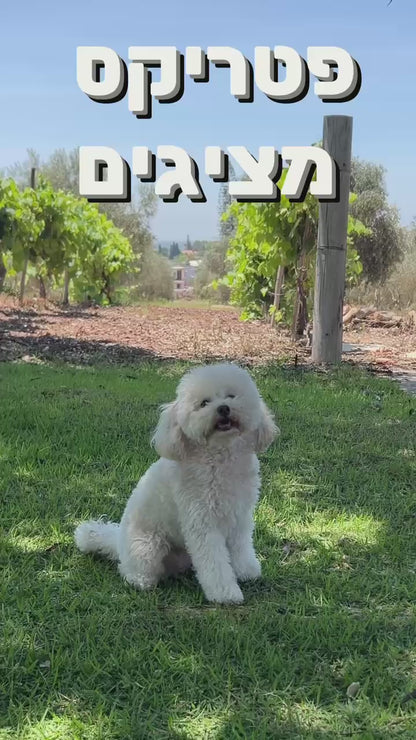 רצועה ללא ידיים + רתמה הסט המלא | שחור חלק