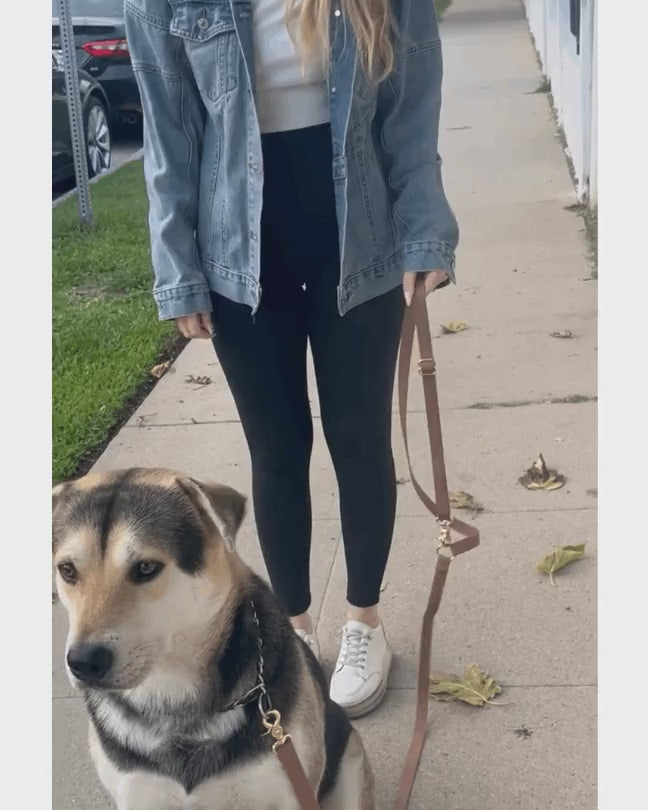 וידאו נטען: 