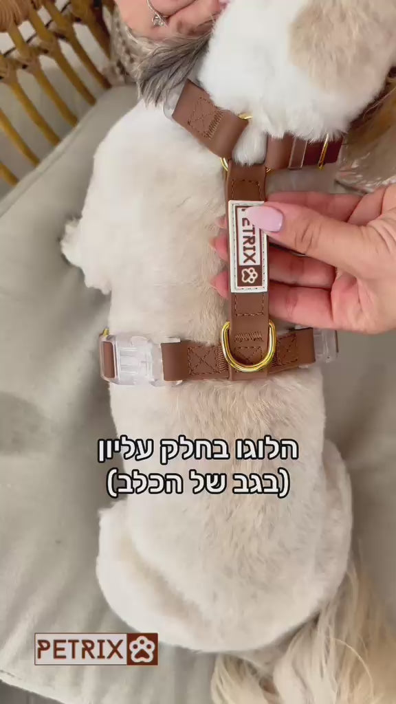 וידאו נטען: 