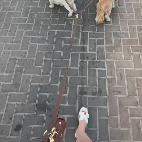 רצועה לשתי כלבים סרטון