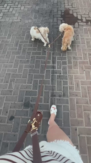 רצועה לשתי כלבים סרטון