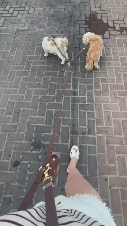 רצועה לשתי כלבים סרטון