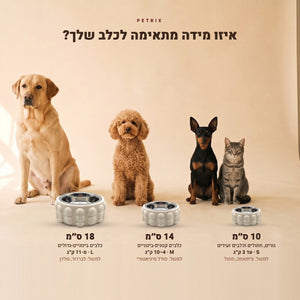 השוואת מידות קערה לכלב Sake: 10, 14 ו-18 ס״מ