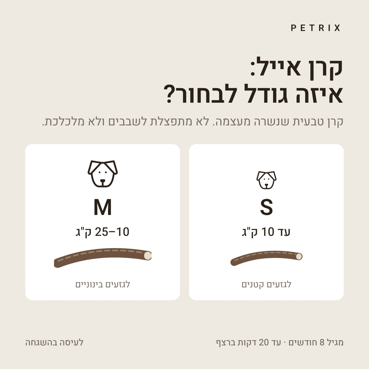 קרן אייל חצויה לכלב – תמונה 4