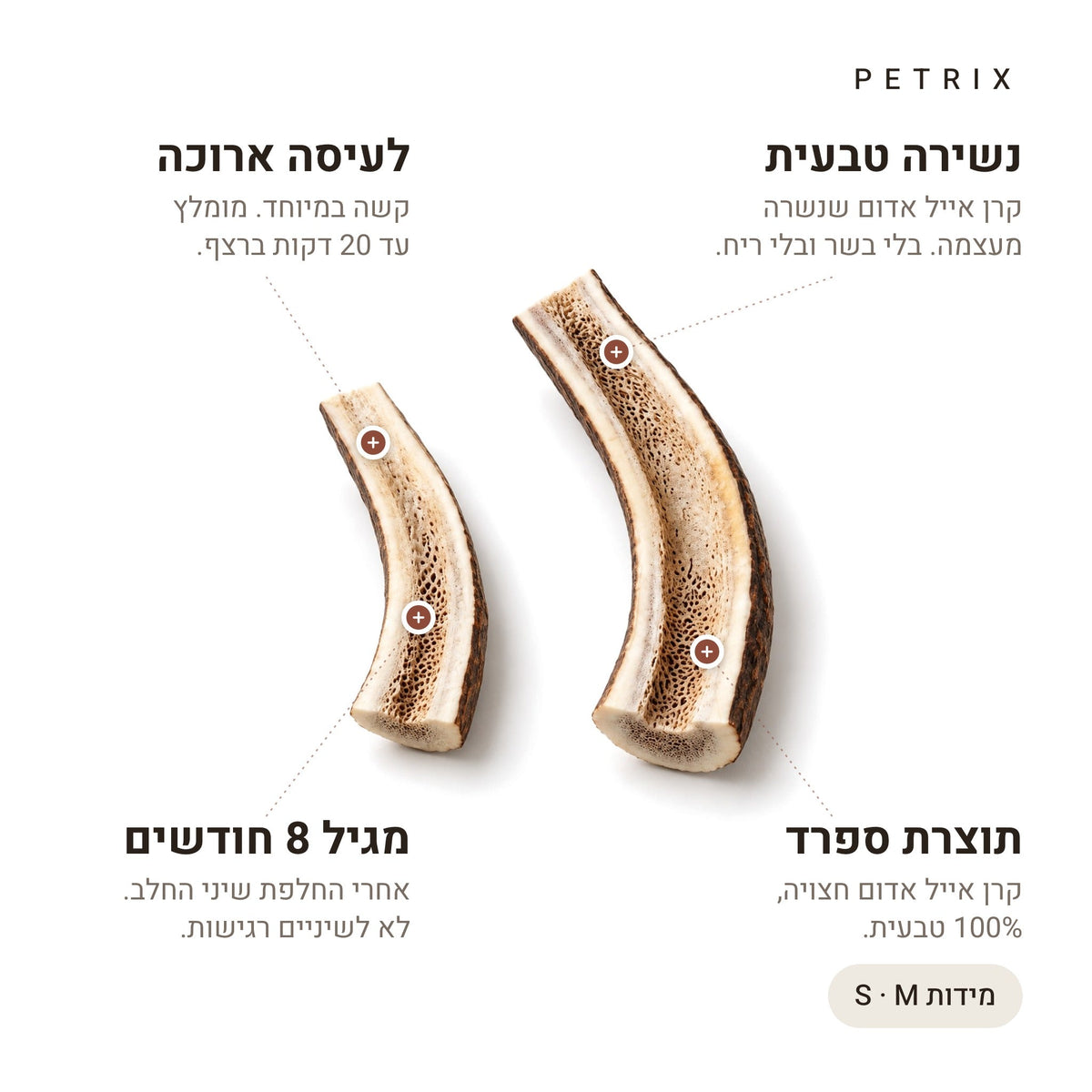 קרן אייל חצויה לכלב – נשירה טבעית, לעיסה ארוכה, מגיל 8 חודשים, תוצרת ספרד